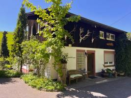 Am Damwildgehege II