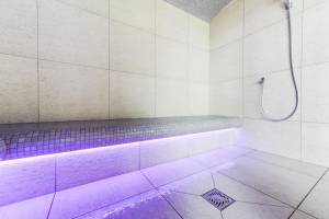 TSV Les Fermes du Mont Blanc 4p8p DemiCh