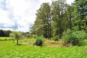 Ruhiger und natürlicher Campingplatz im Périgord-Limousin-Park