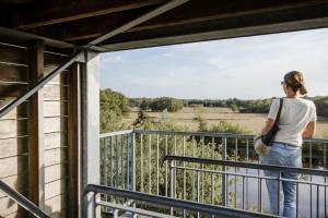 Arden Parks Baalse Hei