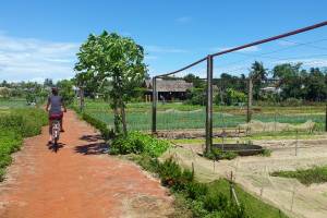 Plattelandstour Hoi An per fiets