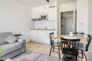 Standard studio for 4 people with sofa bed and balcony