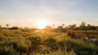 Perfect Match Namibia and Botswana