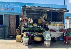 Koninklijke wandeling door Antananarivo - dagexcursie