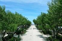 Camping Adria