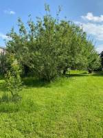 Campspace in Wallerstein, Bayern