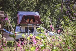 Zelten im Klostergarten in einem Wald in Flandern.