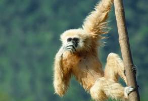 Khao Sok Experience