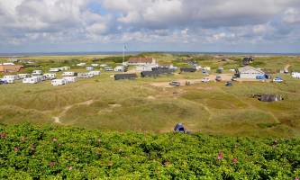 Camping Dancamps Holmsland