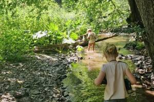 Camping Bockenauer Schweiz