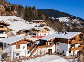 Alpensteinbock Saalbach