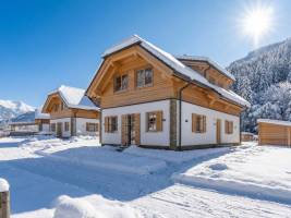 Steier Hütte S