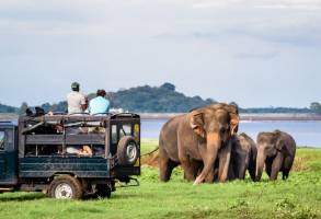 Grand Tour Sri Lanka