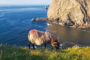 Donegal Wandelreis vanaf Groningen