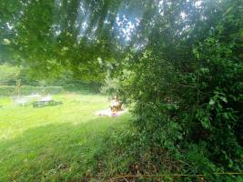 Campingplatz im Val d’Ajol