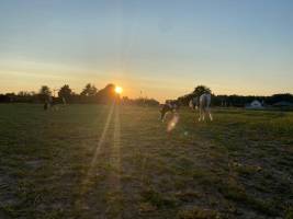 Wunderschöne Lage im Herzen von Haspengouw