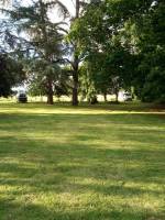 Ein weiterer Blick auf Pferde