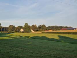 Obstbaumwiese in Eckershof
