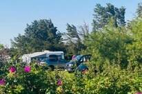 Løkken Vestkyst Camping