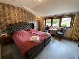 Tweepersoons de Schotse kamer met whirlpool - Regendouche/toilet