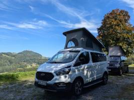 Schwarzwaldtannen mit Panoramablick