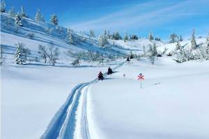 Sneeuwscootersafari Stöten hele dag - 7uur