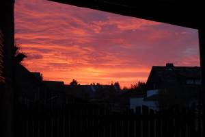 Das Leben kann ein Ponyhof sein