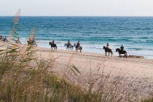 Punta Falconera Camping & Village