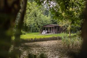 Ruhig gelegener Teich mit Chalet in Pelt