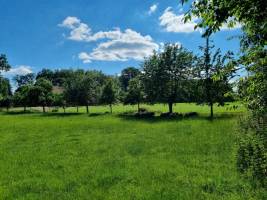 Campspace in Andervenne, Niedersachsen