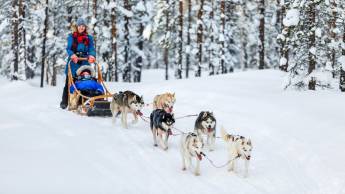 Luleå Winter Adventure