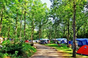 Camping Domaine De Fromengal