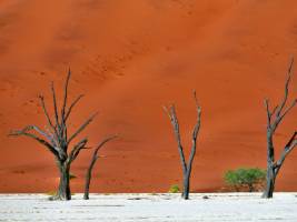 Single reis Zuidelijk Afrika in 3 weken; Kamperen tussen de nijl