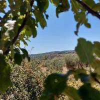 Off-Grid-Refugium zwischen Bergen