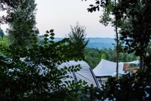 Ein Platz im Laub – für jeden etwas!