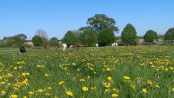 Bauernhofcamping bei Lübeck
