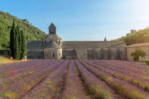 14-daagse rondreis Dordogne, Lot, Cevennen, Provence - Plus Beau