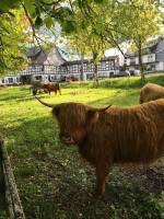 Hotel Landgasthof Gilsbach