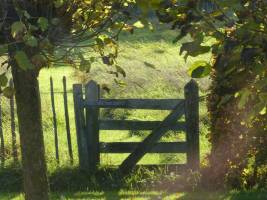 Mikrocamping De Scheiwal