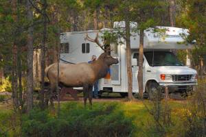 Camperhuur Fraserway Toronto, incl. vlucht met Air Transat