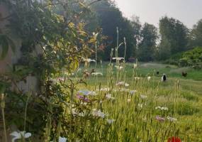 Ausgangspunkt für schöne Radtouren