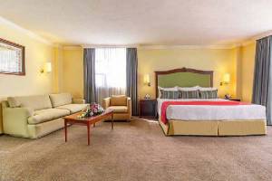 Hotel Francia Aguascalientes