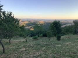 Ruhe und Natur in den Raspes du Tarn, in Saint Victor und Melvie