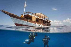 Manta Rhei Dagtrip duiken of snorkelen - Komodo