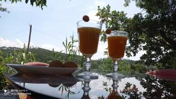 Mafrica – Campingplatz in Mafra, Lissabon