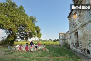 Blick auf die Weinreben und Schafe