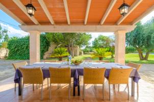 Torre Marina (Alga Marina)