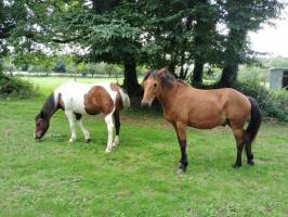 Campingplatz in Moustoir-Ac, Bretagne