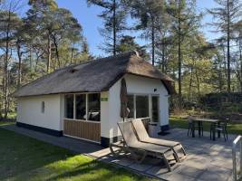 Bungalow Rhijnstein