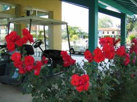 Camping Lou P'tit Poun